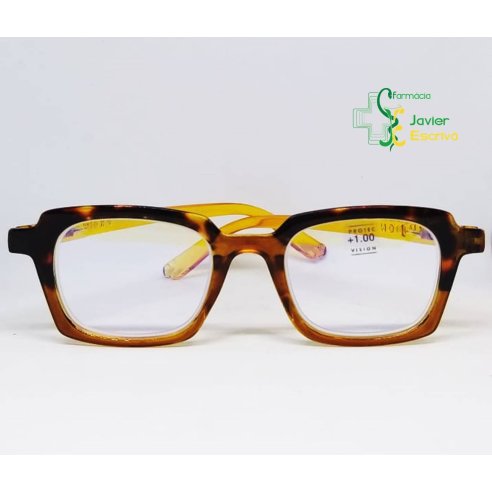 Gafas Presbicia Colibri Hav-Brown +1,00